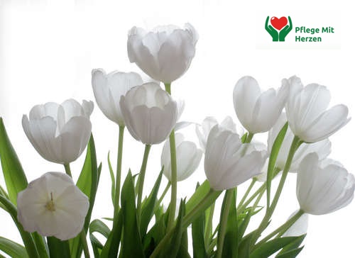 Zdjęcie ogłoszenia