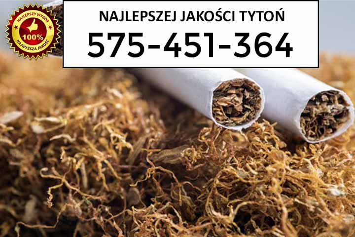 Zdjęcie ogłoszenia