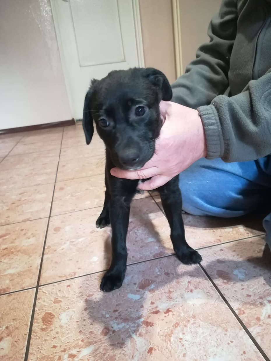 Zdjęcie ogłoszenia