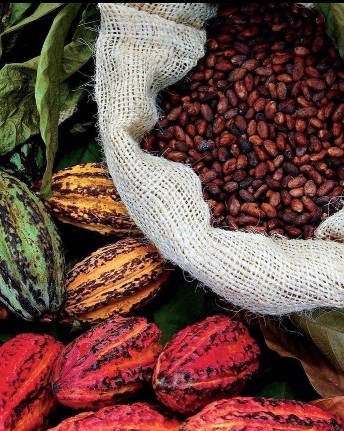 Zdjęcie ogłoszenia