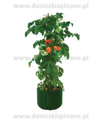 Zdjęcie ogłoszenia