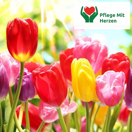 Zdjęcie ogłoszenia