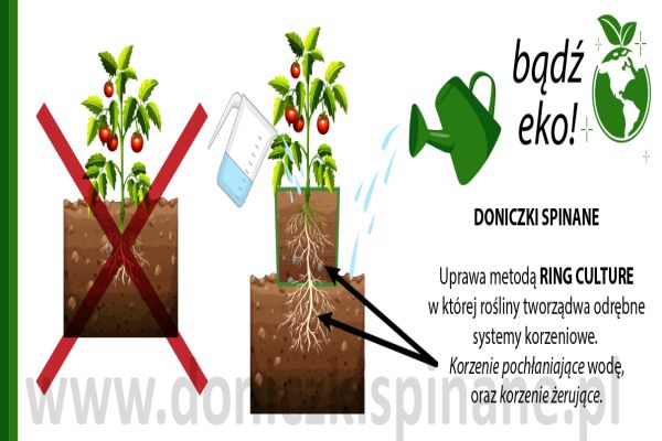 Zdjęcie ogłoszenia